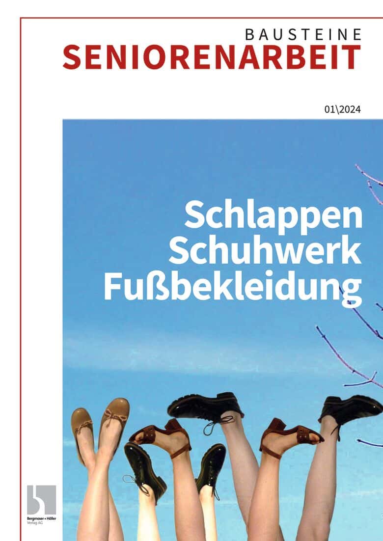 Schlappen_Schuhwerk_Fussbekleidung
